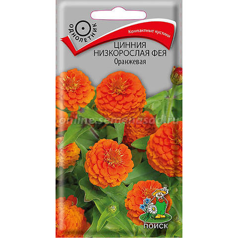 Цветы Цинния Фея Оранжевая, низкорослая 0,1 г ц/п Поиск