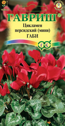 Цветы Цикламен перс. Габи 3 шт ц/п Гавриш (комн.)