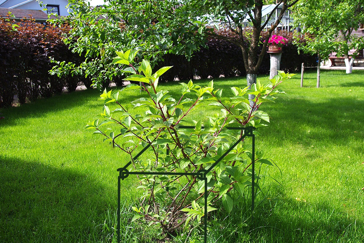 Кустодержатель для цветов зеленый 500*500*700