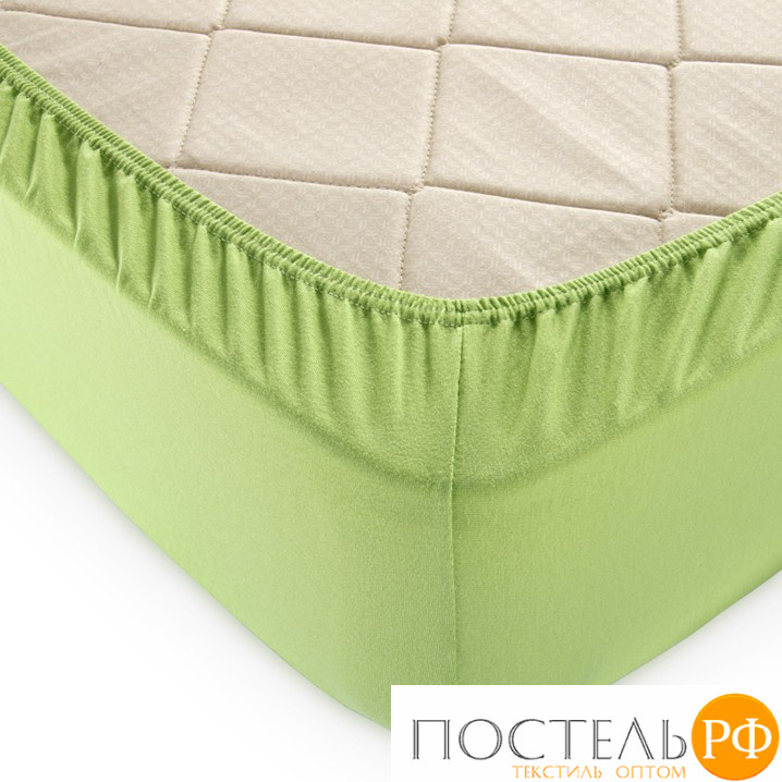 Текс-Дизайн Трава простыня ТРИКОТАЖ 120*200*20 на резинке Р011Т (Трикотажное полотно, Пакет пвх)