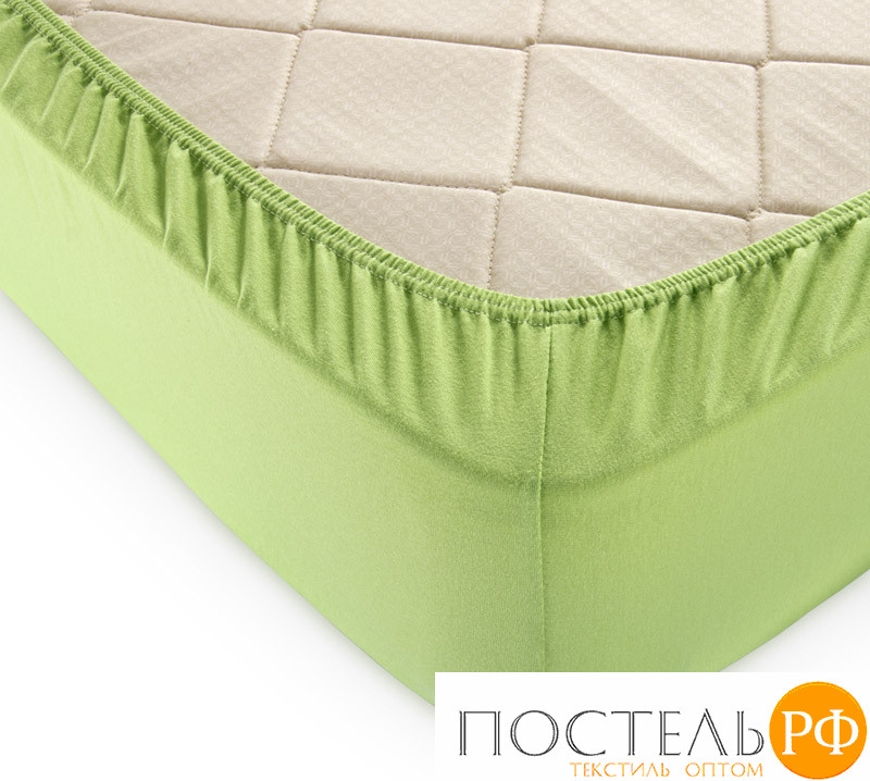 Текс-Дизайн Трава простыня ТРИКОТАЖ 120*200*20 на резинке Р011Т (Трикотажное полотно, Пакет пвх)