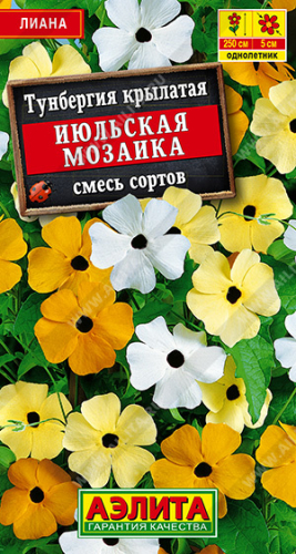 Тунбергия Июльская мозаика, смесь сортов ---   Одн