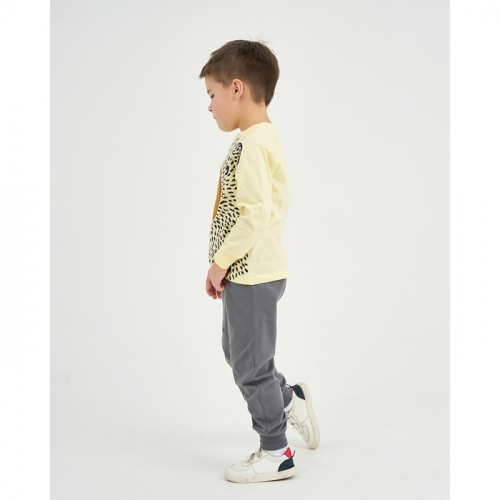 Пижама для мальчика, цвет бежевый/серый, рост 116-60