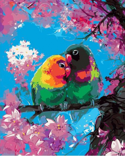 Картины по номерам 40х50 Милые попугайчики