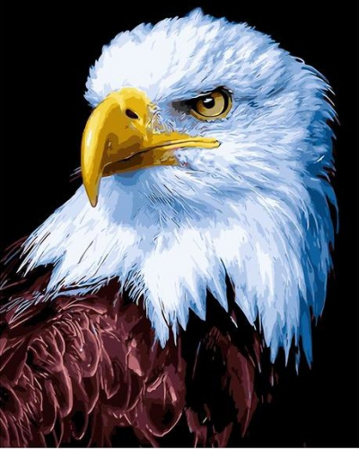 Картины по номерам 40х50 Американский орел