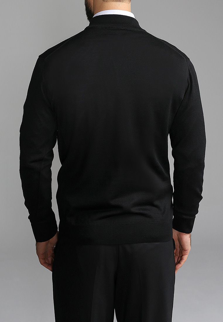 Джемпер мужской GREG G122-EV (черный)