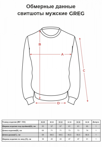 Свитшот мужской GREG aus Russland G121-RM-3005_R (гол.джин.м)