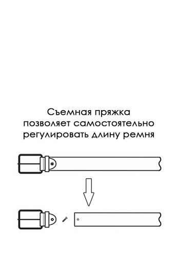 Ремень кожаный мужской CARPENTER Cr17 напаллан синий
