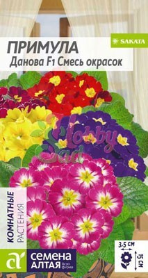 Цветы Примула Данова Смесь окрасок (5 шт) Семена Алтая Комнатные растения