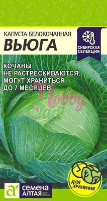 Капуста Вьюга б/к (0,5 гр) Семена Алтая Сибирская Селекция!