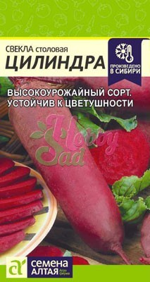 Свекла Цилиндра (3 г) Семена Алтая