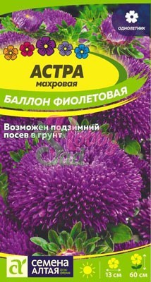 Цветы Астра Баллон Фиолетовая махровая (0,05 гр) Семена Алтая