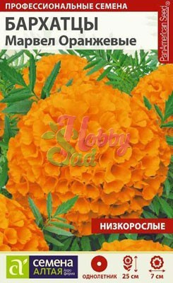 Цветы Бархатцы Марвел оранжевые низкорослые (5 шт) Семена Алтая