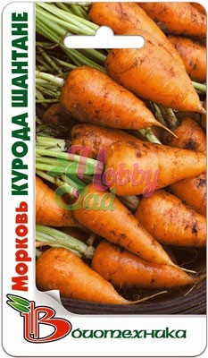 Морковь Курода Шантане (2 г) Биотехника
