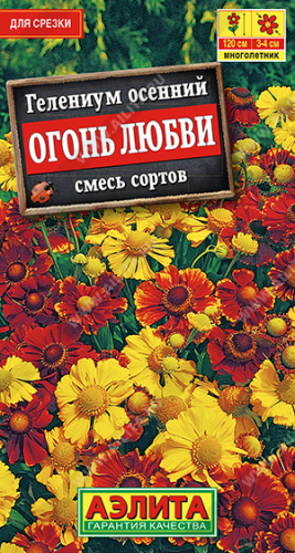 Гелениум Огонь любви, смесь окрасок ---   Мн