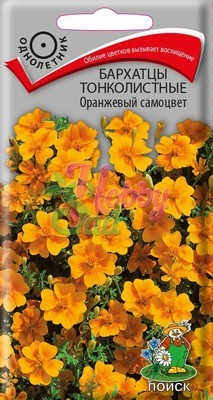 Цветы Бархатцы Оранжевый самоцвет тонколистные (Тагетес) (0,1 г) Поиск