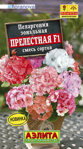 Пеларгония Прелестная F1, смесь сортов ---   Одн Сел. Floranova