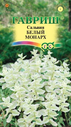 Сальвия Белый монарх (хорминум)* 0,05 г