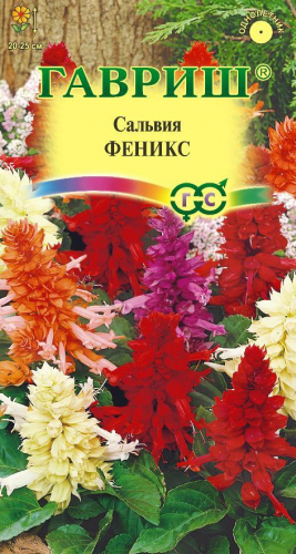 Сальвия Феникс, смесь* 0,05 г