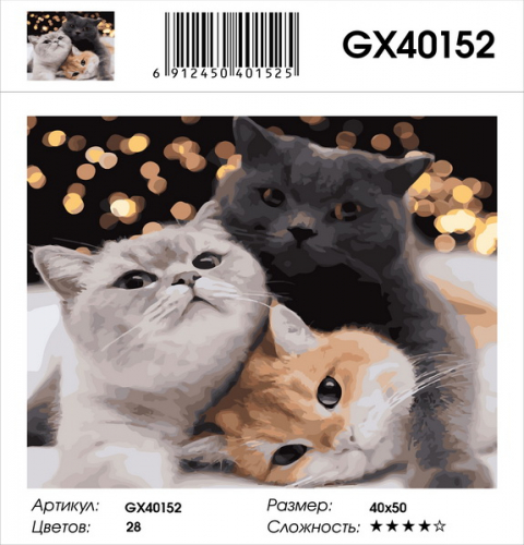 GX 40152 Картины 40х50 GX и US