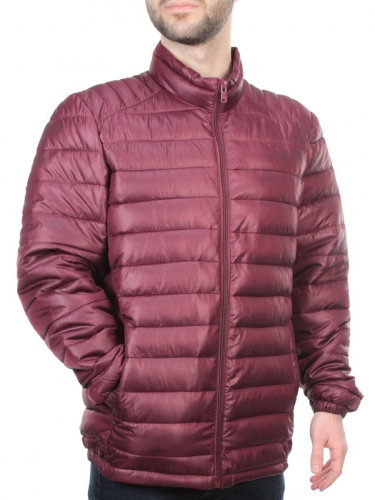 GBIT 81008 Куртка мужская демисезонная BNQXIANG (100 гр. синтепон) размер 5XL - 54 российский