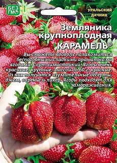 ягоды Земляника Карамель® (крупнопл.) 10 шт ц/п Уральский дачник