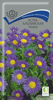 Цветы Астра альп. Голубая 0,04 г ц/п Поиск (мног.)