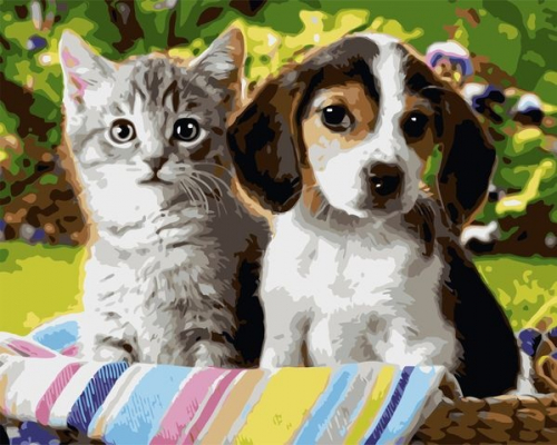 Котёнок и щенок