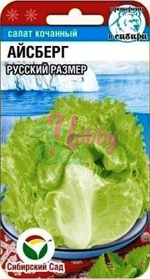 Салат Айсберг Русский Размер (0,5 гр) Сибирский Сад