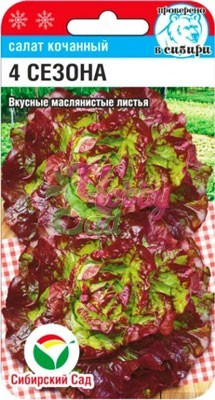 Салат 4 сезона кочанный (1 г) Сибирский Сад