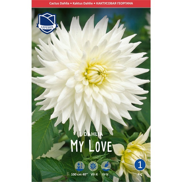 Георгина Май Лав 1 шт ЛЕФЕБР 73310