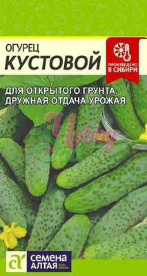 Огурец Кустовой (0,5 гр) Семена Алтая