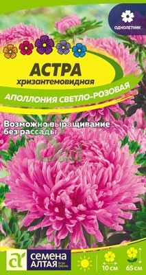 Цветы Астра Аполлония Светло-розовая хризантемовидная (0,2 гр) Семена Алтая