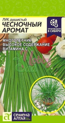 Лук Душистый Чесночный Аромат (0,5 гр) Семена Алтая