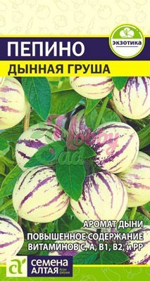 Пепино (Дынная Груша) (5 шт) Семена Алтая