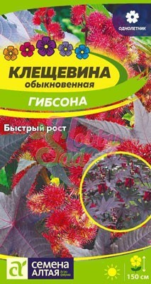 Цветы Клещевина Гибсона (3 шт) Семена Алтая