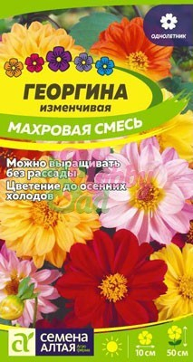 Цветы Георгина Махровая смесь окрасок (0,2 г) Семена Алтая