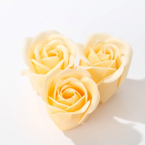 Набор «Вдохновляй красотой» мыльные розы 8 шт, бомбочки для ванн 4 шт х 40 г, аромат ваниль
