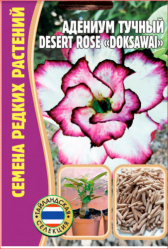 Семена Адениум тучный Desert rose Doksawal 3 сем.