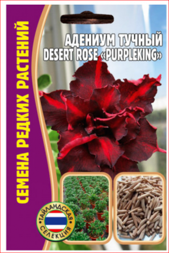 Семена Адениум тучный Desert rose Purpleking 3 сем