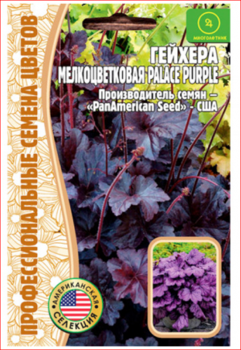 Семена Гейхера Мелкоцветковая Palace purple 10 cем