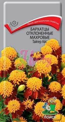 Цветы Бархатцы Тайгер Айс отклоненные махровые (Тагетес отклоненный) (0,4 г) Поиск