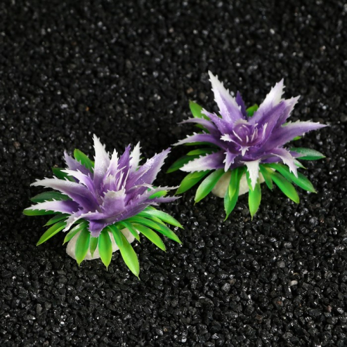 Растение искусственное аквариумное, 11х9х6 см, (набор 2), фиолетовый
