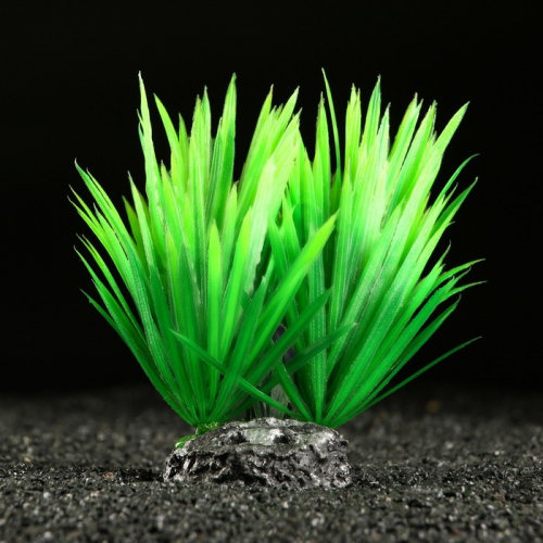 Растение искусственное аквариумное, 18 х 10 х 11,5 см, зелёный