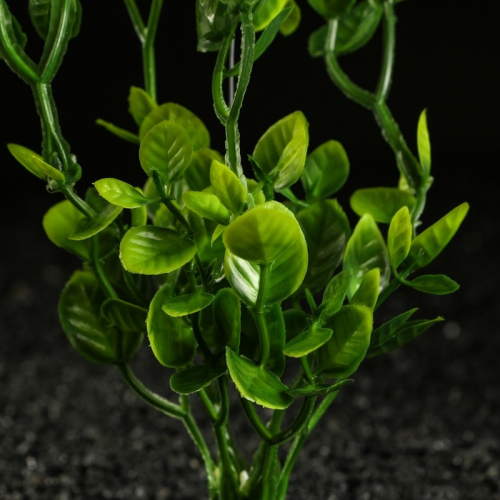 Набор растений искусственных для аквариума (2), 25 см, зелёный
