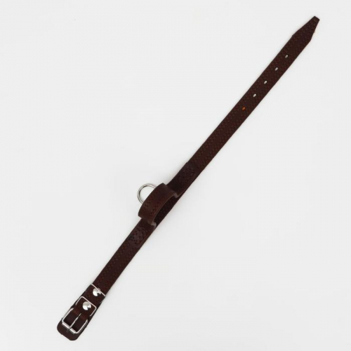 Ошейник кожаный тройной, с ручкой, 57 х 2.5 см, ОШ 35-45 см, коричневый
