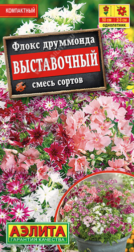 Флокс Выставочный, смесь сортов ---   Одн