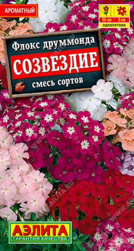 Флокс друммонда Созвездие, смесь сортов ---   Одн