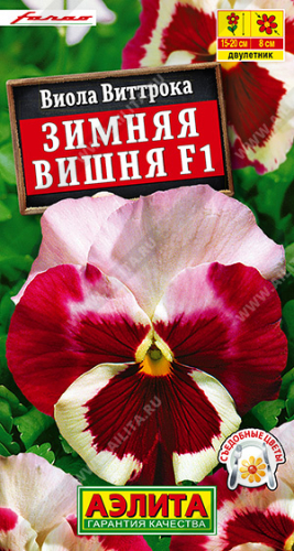 Виола Зимняя вишня F1 ---   Дв Сел. Farao