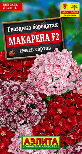 Гвоздика Макарена F2, смесь сортов ---   Дв